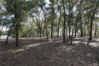 Another view of this high and dry lot