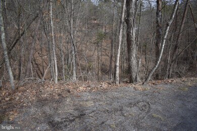 0 Nicklaus Dr unit VASH2007924, Basye, VA 22810 - photo 4