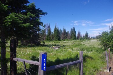 1324 Pleasant Acre Dr, Weippe, ID 83553 - photo 5