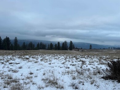 31445 Hume Rd, Davenport, WA 99122 - photo 7