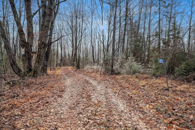 W8951 Pence Lake Rd, Deerbrook, WI 54424 - photo 6