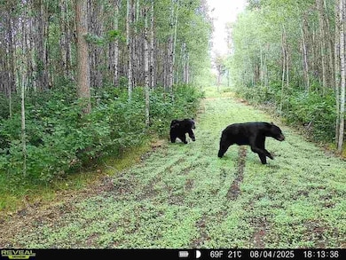 7235 120th St SW, Motley, MN 56466 - photo 2