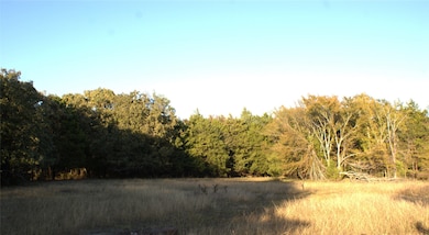 TBD Vz County Road 2147, Wills Point, TX 75169 - photo 6