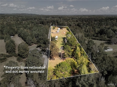 0- Black Cemetary Rd, Oakman, AL 35579 - photo 6