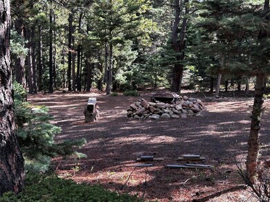 53 Pine Eagle Ct, Westcliffe, CO 81252 - photo 6