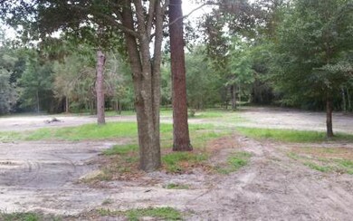 214 NW Saturn Ln, Lake City, FL 32055 - photo 4