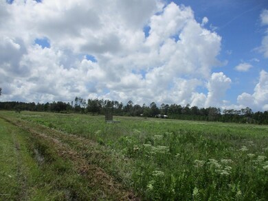 56161 Davis Rd, Callahan, FL 32011 - photo 4
