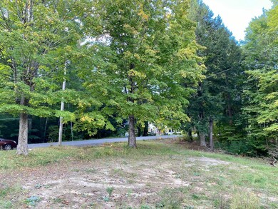 46 Farrington Rd, Gorham, ME 04038 - photo 3