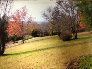 Tbd Shamrock Way, Kimberling City, MO 65686 - photo 3