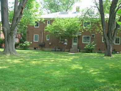 55 Back Yard