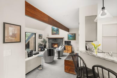 435 Stonybrook Rd unit 29, Stowe, VT 05472 - photo 3