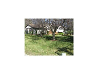 Yard.