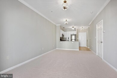 Bryson At Woodland Park unit 306, Herndon, VA 20171 - photo 6