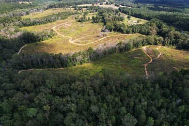 2085 County Road 3341, Brundidge, AL 36010 - photo 4