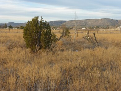 25350 N Naples St, Paulden, AZ 86334 - photo 5