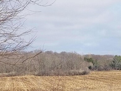 L1 Territorial Rd, Delavan, WI 53115 - photo 5