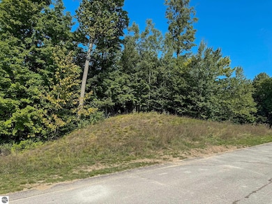 1955 N Blue Water Ct unit 2, Suttons Bay, MI 49682 - photo 5