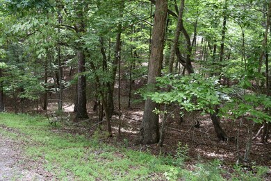 L2021+22 Garnet Dr, Ellijay, GA 30540 - photo 4