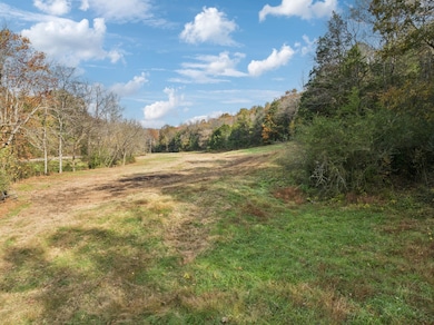 0 Club Springs Rd unit RTC3048648, Elmwood, TN 38560 - photo 4