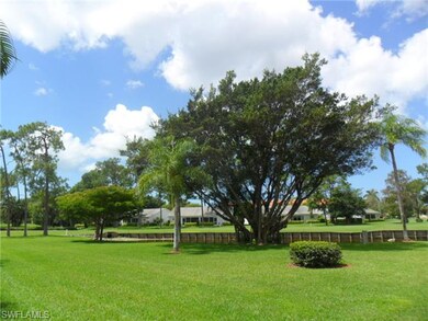 BACKYARD VIEW