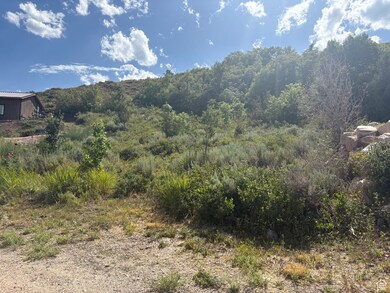 347 Juniper Dr unit 481, Fish Haven, ID 83287 - photo 3