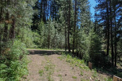 South End Driveway Entrance