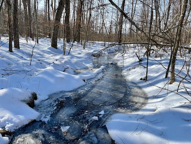 000 Orchard Dr, Wallkill, NY 12589 - photo 6