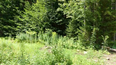 00 Vt Route 9 W, Searsburg, VT 05363 - photo 2