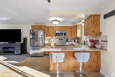 Kitchen featuring stainless steel appliances, light stone counters, backsplash, a kitchen breakfast bar, and a peninsula