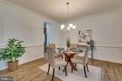 6811 Morrow Mountain Rd, Hanover, MD 21076 - photo 7