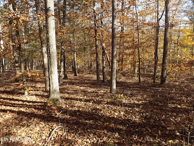 TBD Rt 516 Old Cross Rd, Pineville, KY 40977 - photo 7