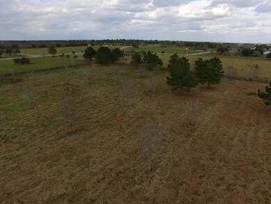 7211 Kelly Ln Tract 26, Richmond, TX 77469 - photo 3