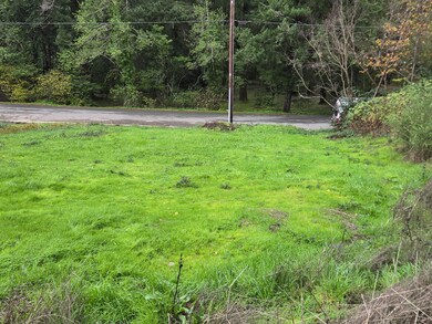 671 Orchard Ln, Redway, CA 95560 - photo 6