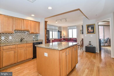 Elan East Market Condominiums unit 616, Fairfax, VA 22033 - photo 4