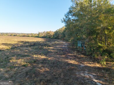 1 Georgia 17, Wadley, GA 30477 - photo 3