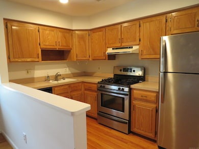 7 Dean St unit 304, Danbury, CT 06810 - photo 6