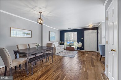 42805 Pilgrim Square, Chantilly, VA 20152 - photo 7