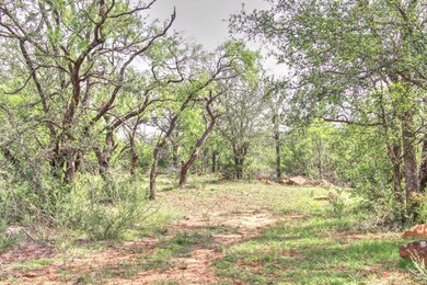 View of tree filled area