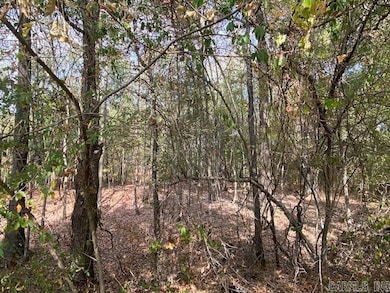 00 N Lily and Hwy 60 Hwy, Houston, AR 72070 - photo 3