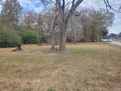 Lot 0 College Ave, New Hope, AL 35760 - photo 7