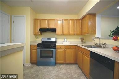 715 W Cherry Blossom Way, Baltimore, MD 21201 - photo 6