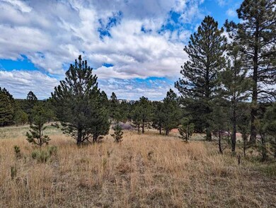Lot 2 Argyle Ridge Ct, Hot Springs, SD 57747 - photo 5