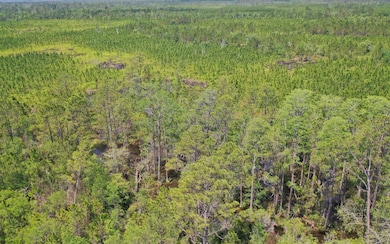 0 County Line & Prine unit 129261, Lee, FL 32059 - photo 6