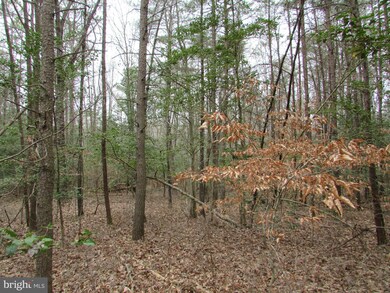 Lot 10 Settlers Ln, Washington, VA 22520 - photo 3
