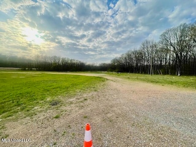15763 Highway 4 E, Senatobia, MS 38668 - photo 3