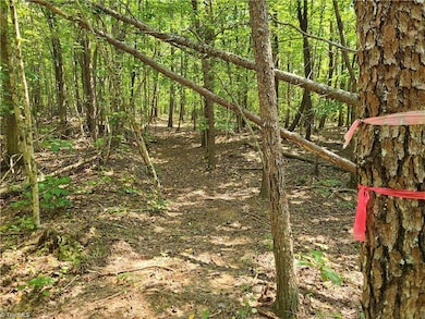 00 Grassy Knob Rd unit 12, Pilot Mountain, NC 27041 - photo 4