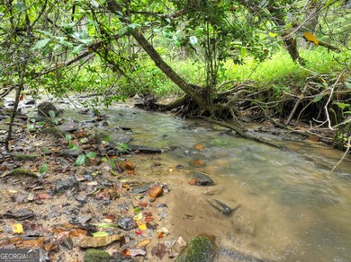 LOT 45 Synacia Dr, Mineral Bluff, GA 30559 - photo 4