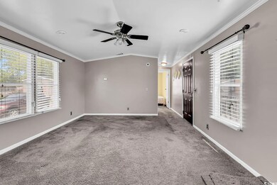 Carpeted spare room featuring plenty of natural light, ornamental molding, a ceiling fan, and baseboards