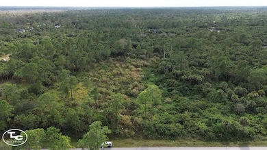 0 30th Ave SE unit 11613710, Naples, FL 34117 - photo 6