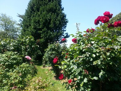yard